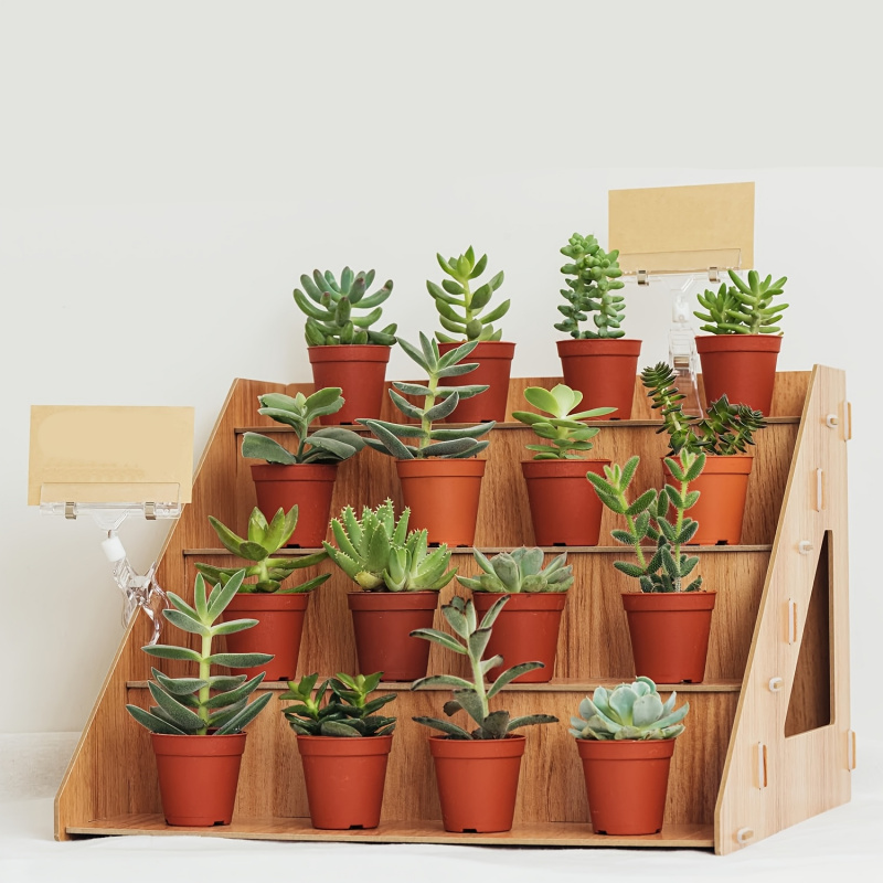 Pop Display Shelf - Expositor de madeira, suporte para feiras